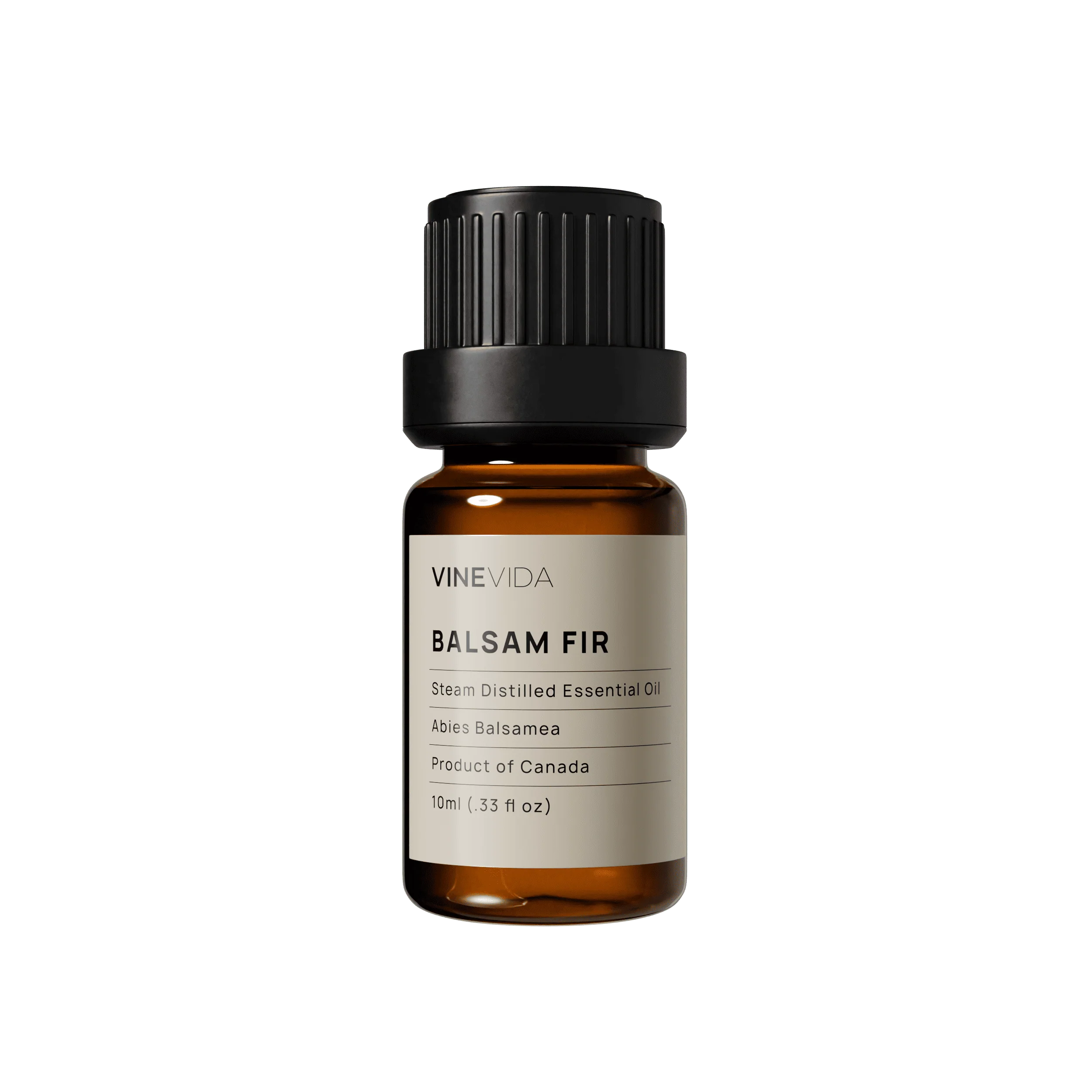 Balsam Fir Essential Oil - Image 7
