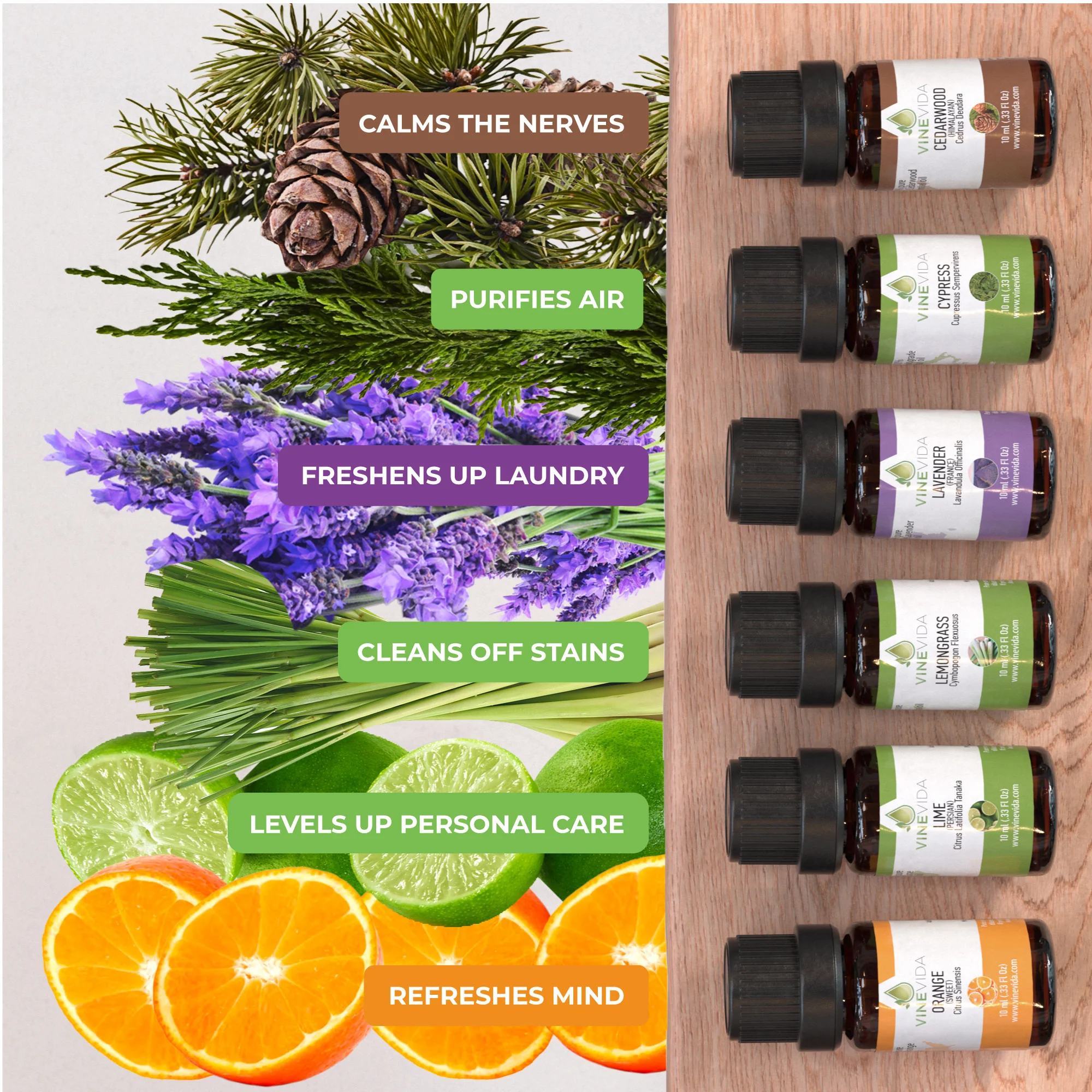 Bright and Breezy Essential Oil Set - Image 4
