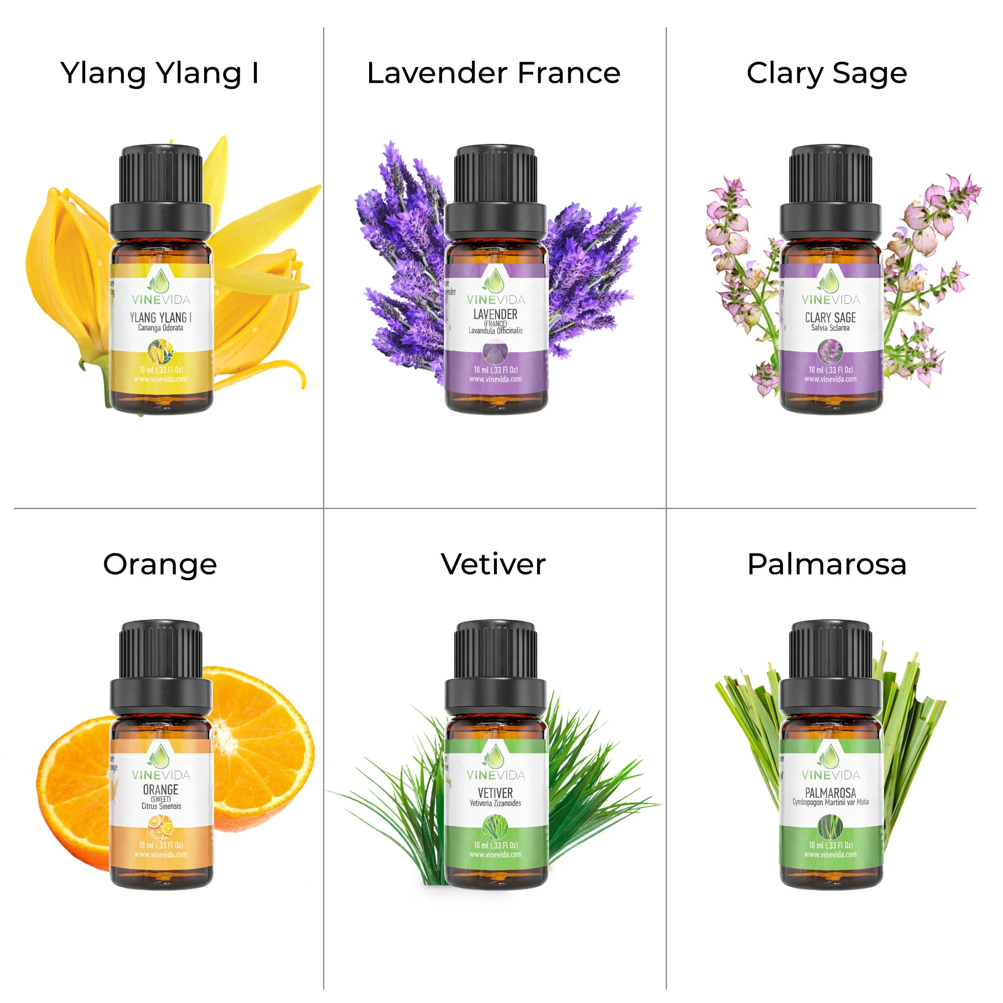 Calming Essential Oil Set - Image 6