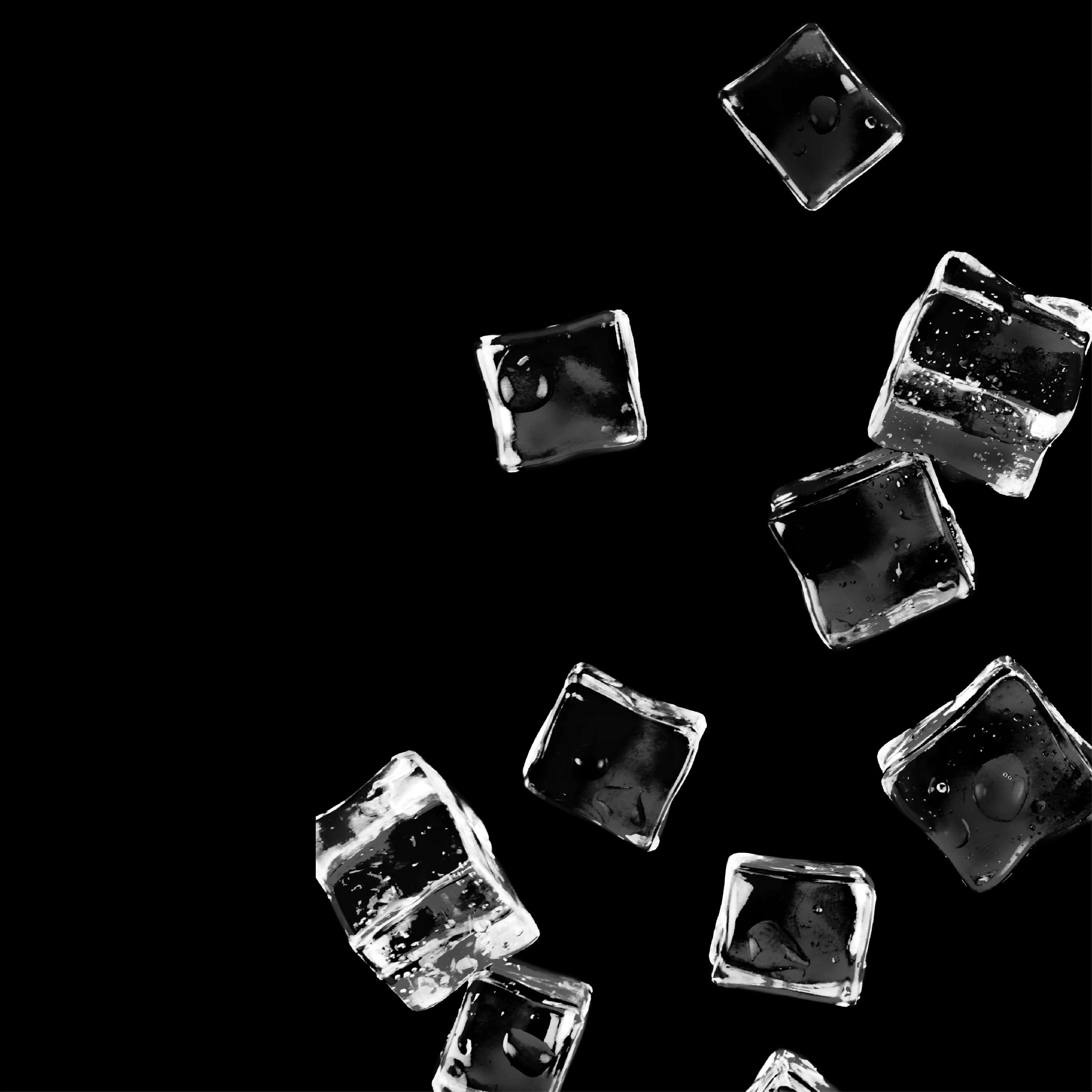 NO. 10 Fragrance Oil for Soaps & Candles - Lush Ice - Image 2