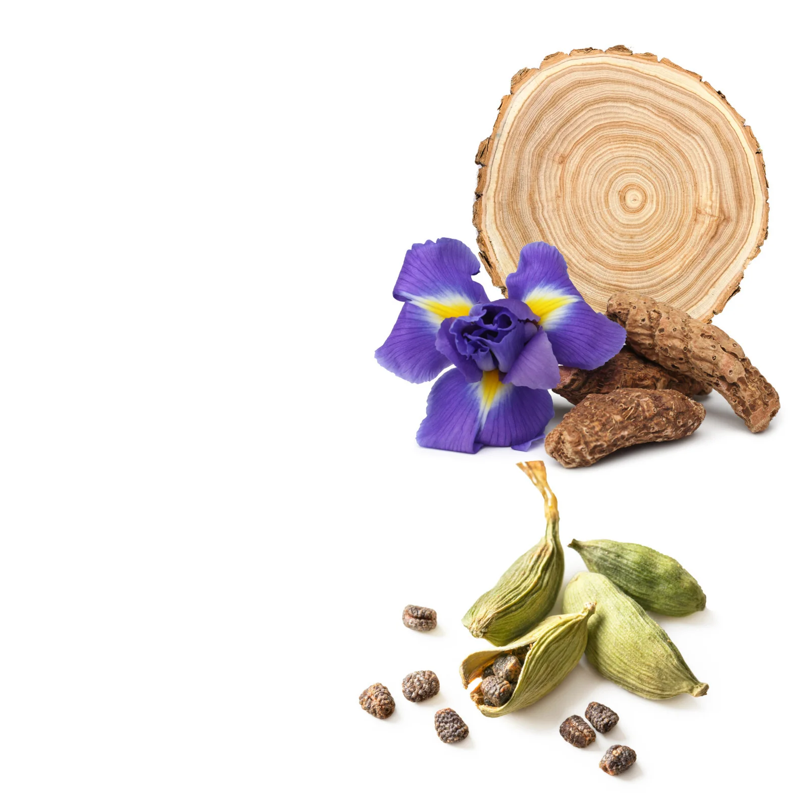 NO. 1304 Fragrance Oil for Cold Air Diffusers - Inspired by: Santal 33 by Le Labo - Image 2