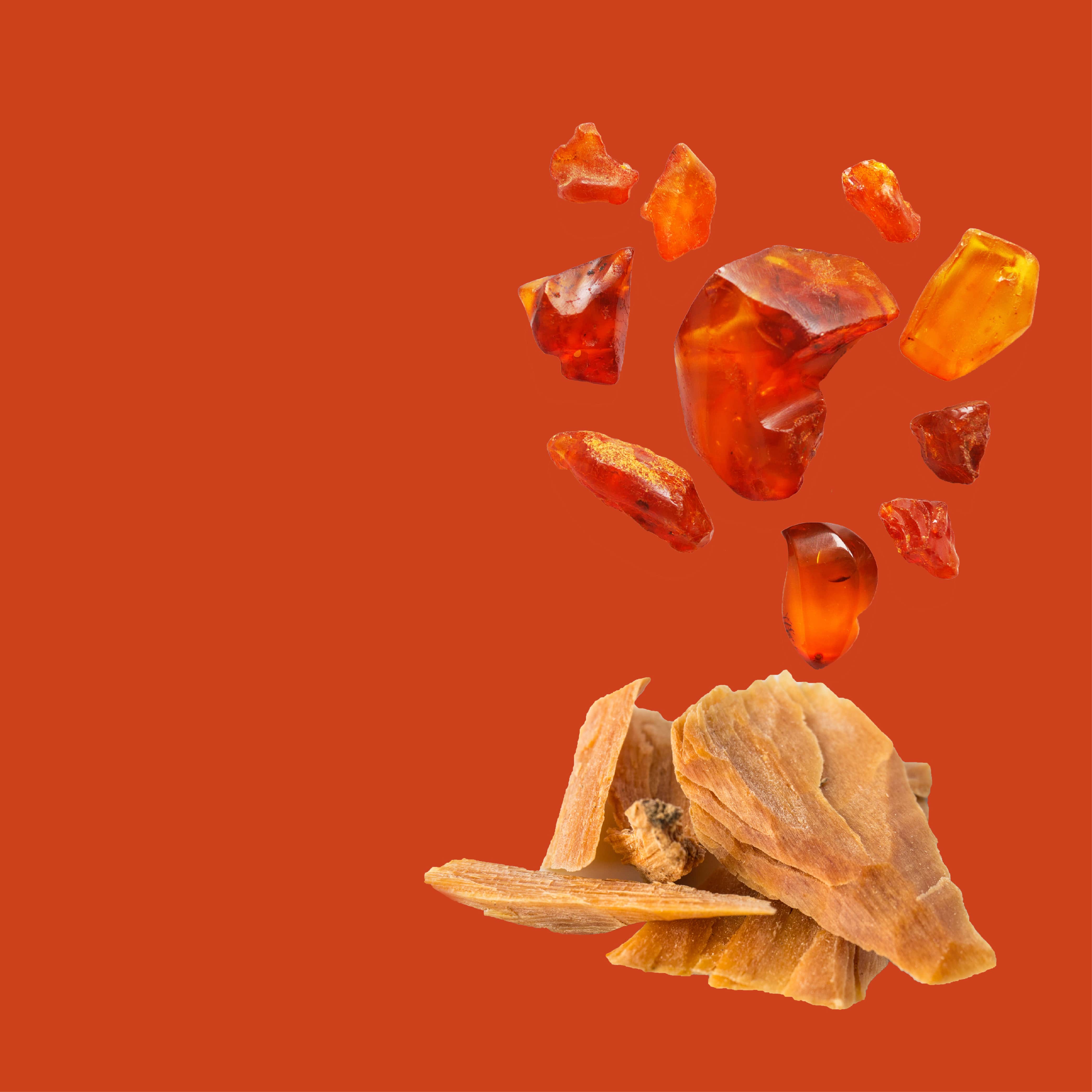 NO. 21 Fragrance Oil for Cold Air Diffusers - Cedarwood & Amber - Image 2