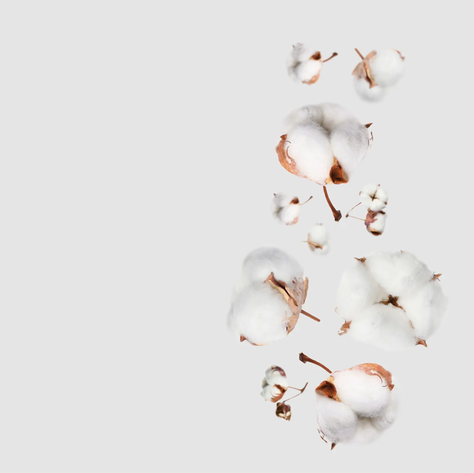 NO. 25 Fragrance Oil for Cold Air Diffusers - Clean Cotton - Image 2