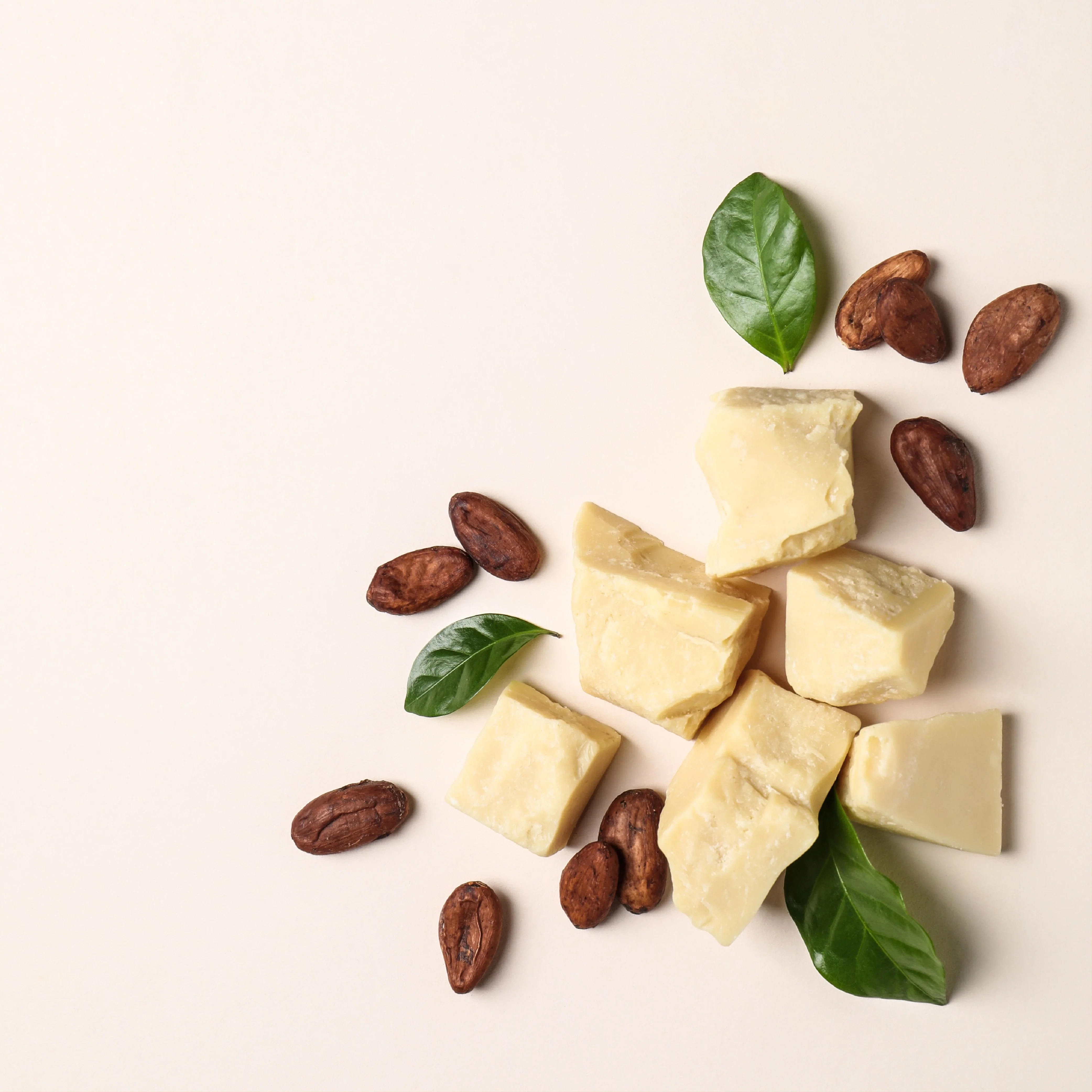 NO. 26 Fragrance Oil for Soaps & Candles - Cocoa Butter - Image 2