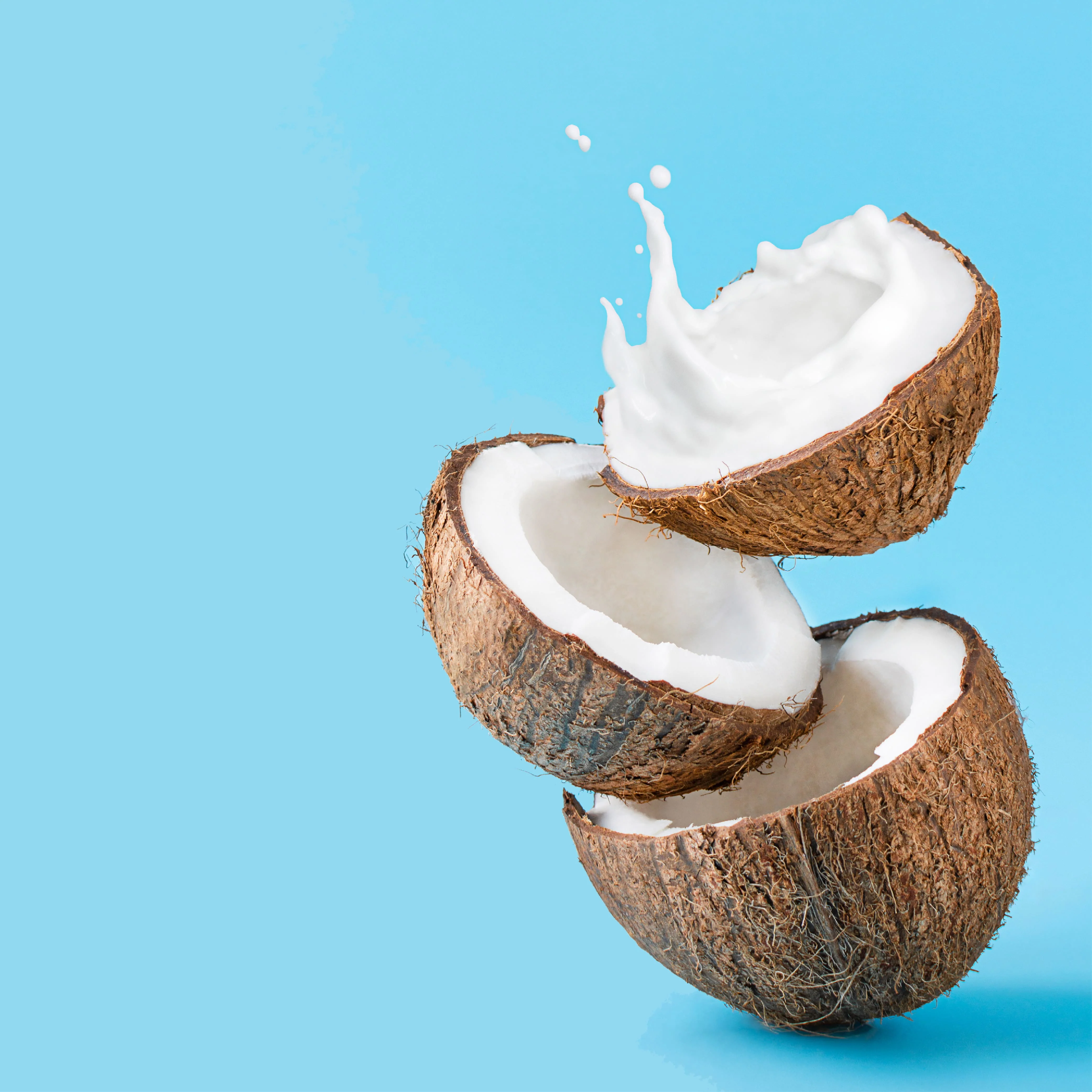 NO. 27 Fragrance Oil for Soaps & Candles - Coconut Cream - Image 2