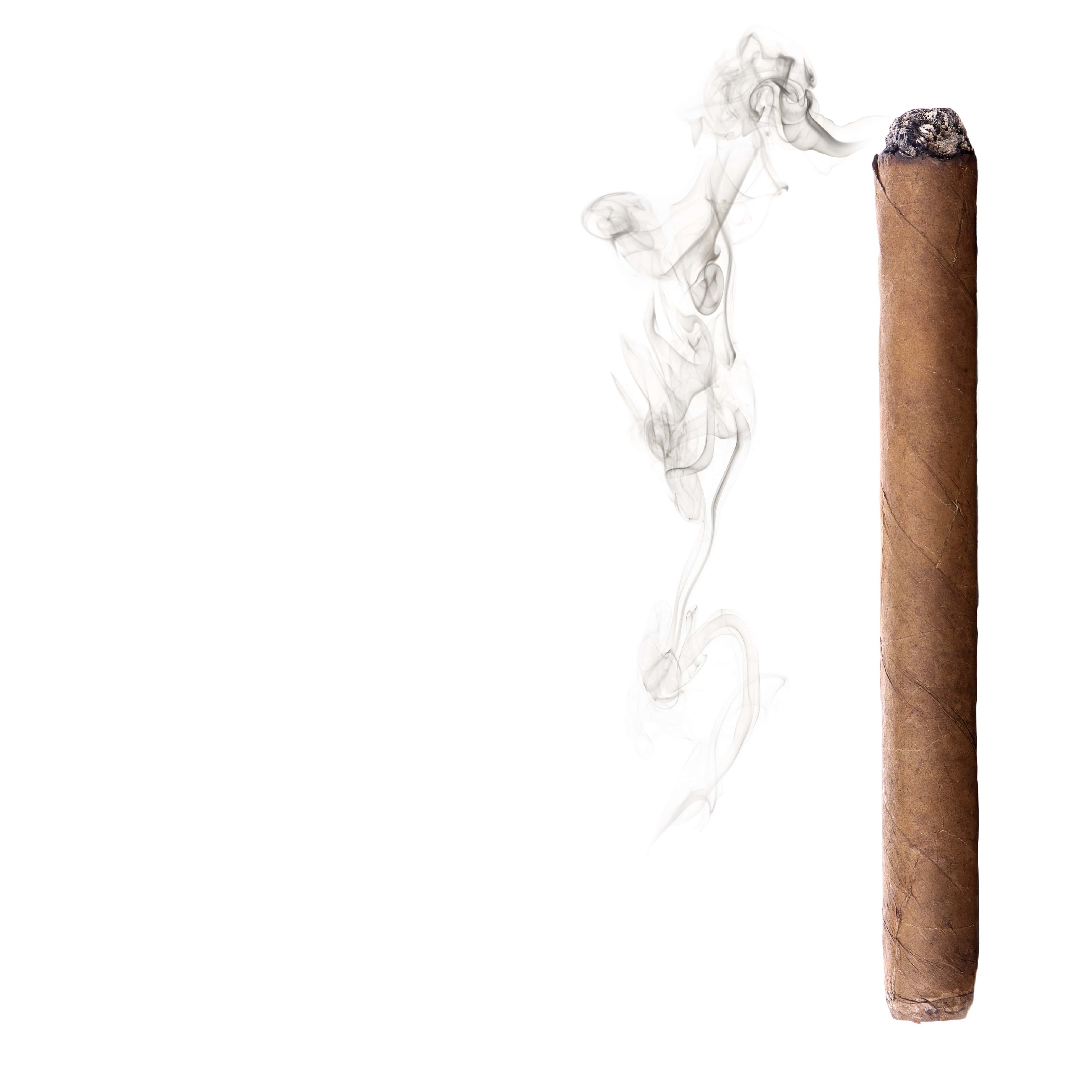 NO. 29 Fragrance Oil for Soaps & Candles - Cuban Tobacco - Image 2