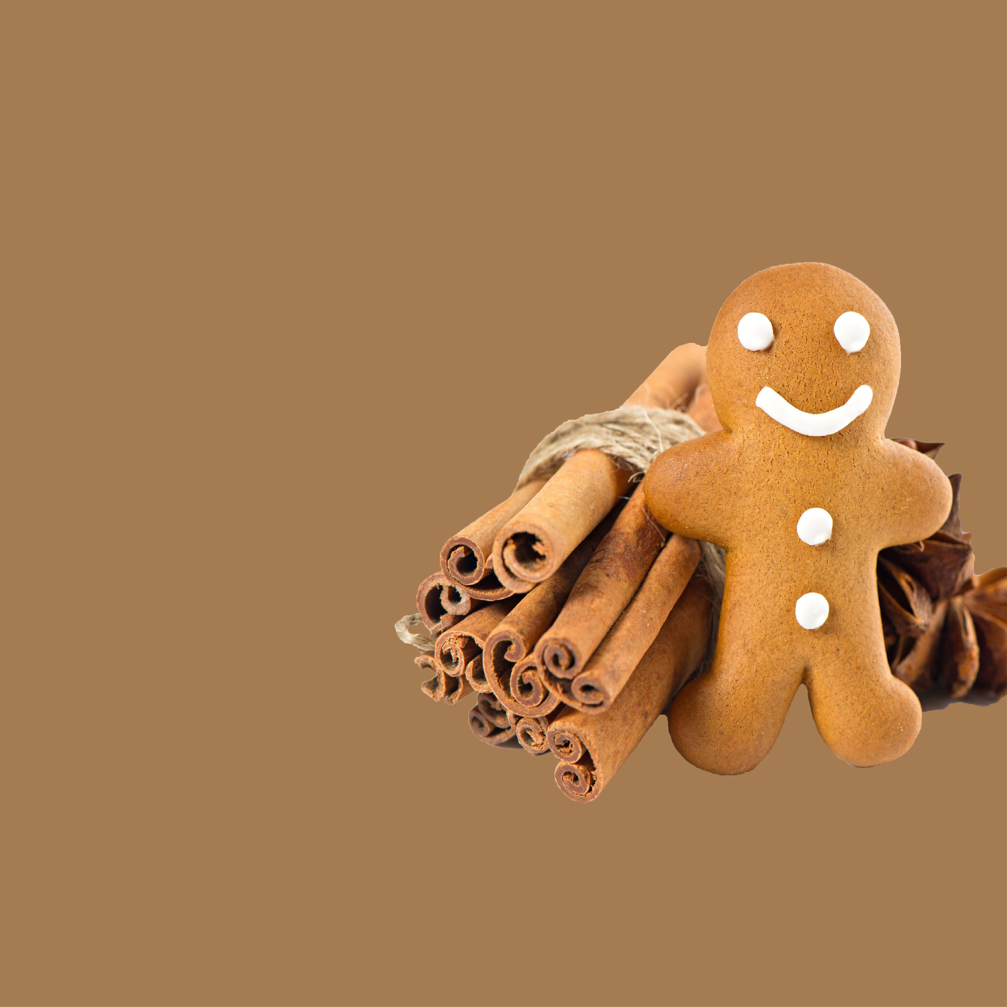 NO. 40 Fragrance Oil for Cold Air Diffusers - Gingerbread - Image 2