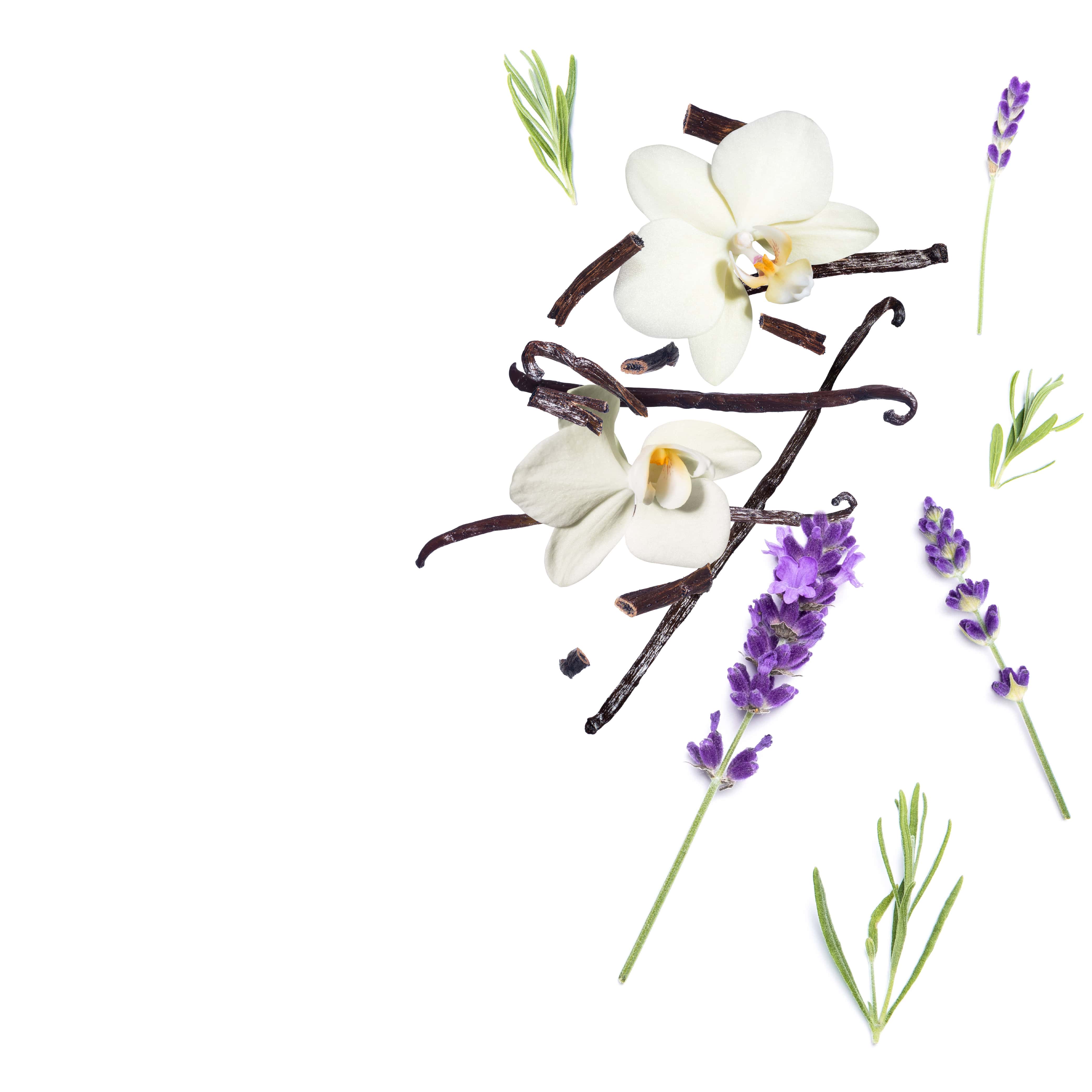 NO. 47 Fragrance Oil for Soaps & Candles - Lavender Vanilla - Image 2
