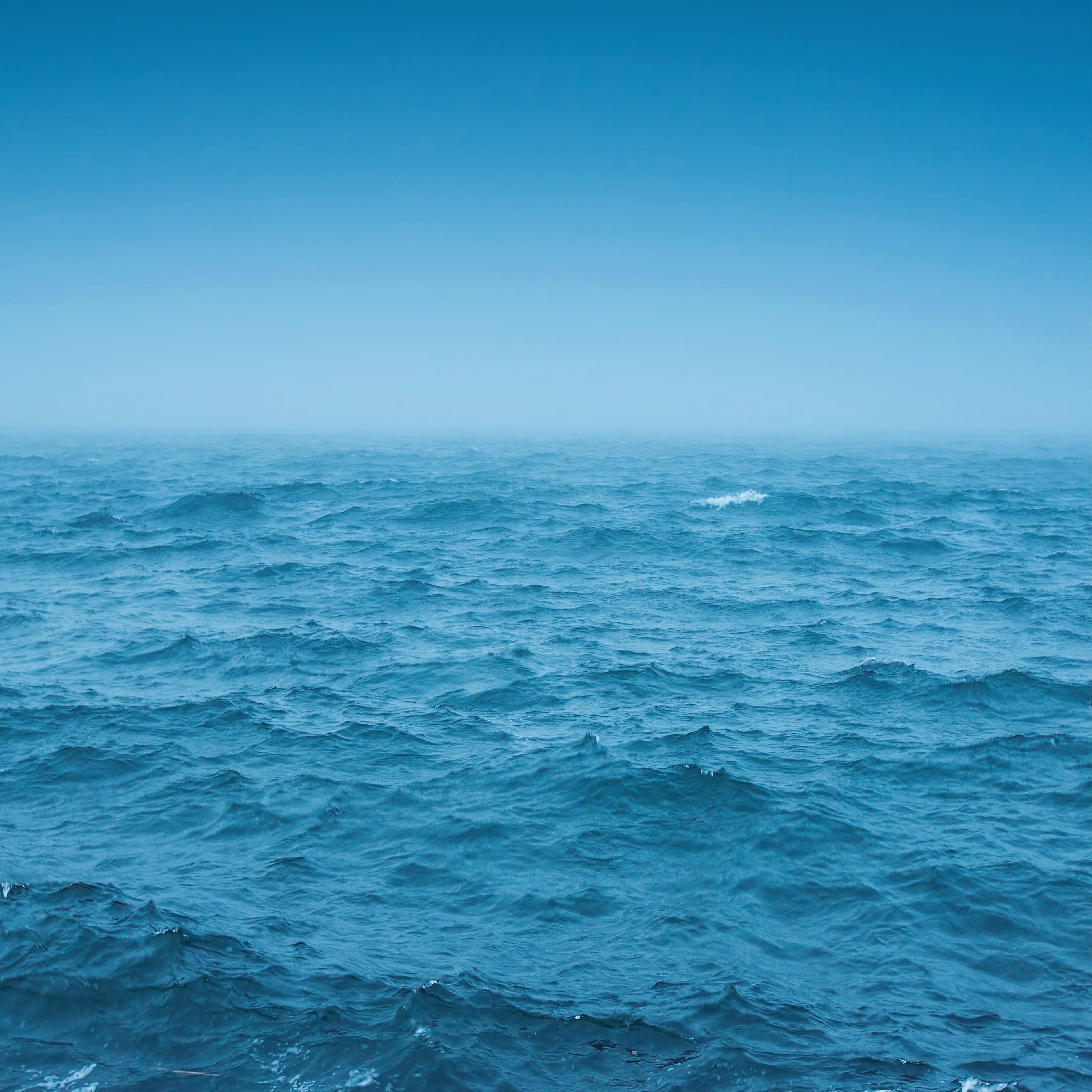NO. 56 Fragrance Oil for Cold Air Diffusers - Ocean Rain - Image 2